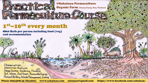 Practical Permaculture Course